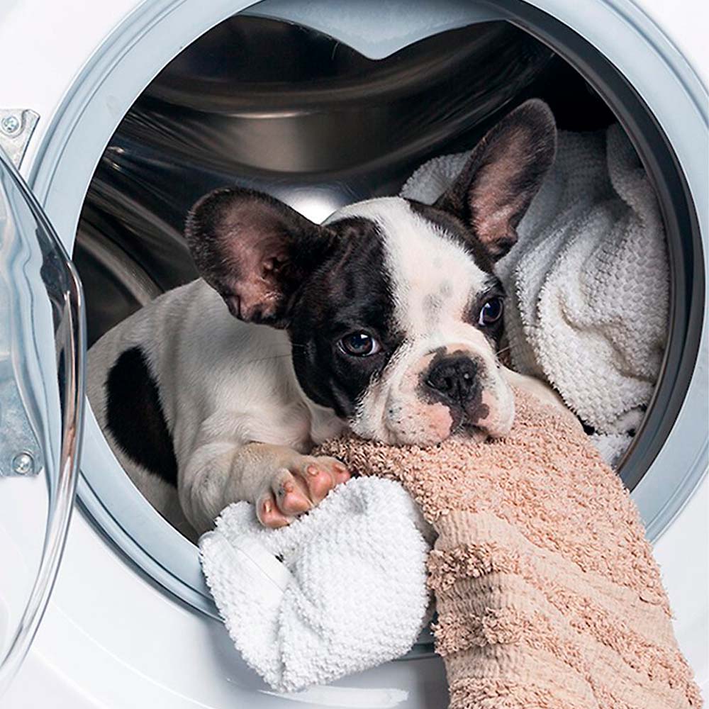 Machines à laver pour enlever les poils d'animaux